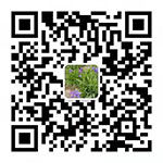 不锈钢渠道闸门